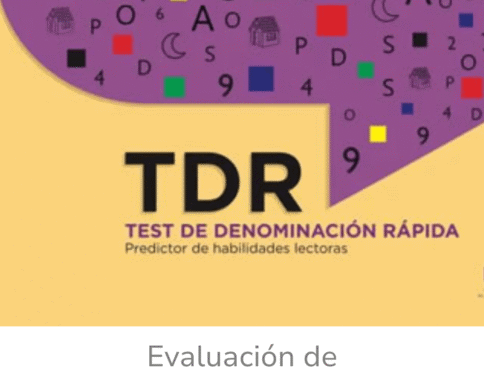 TDR – Test físico
